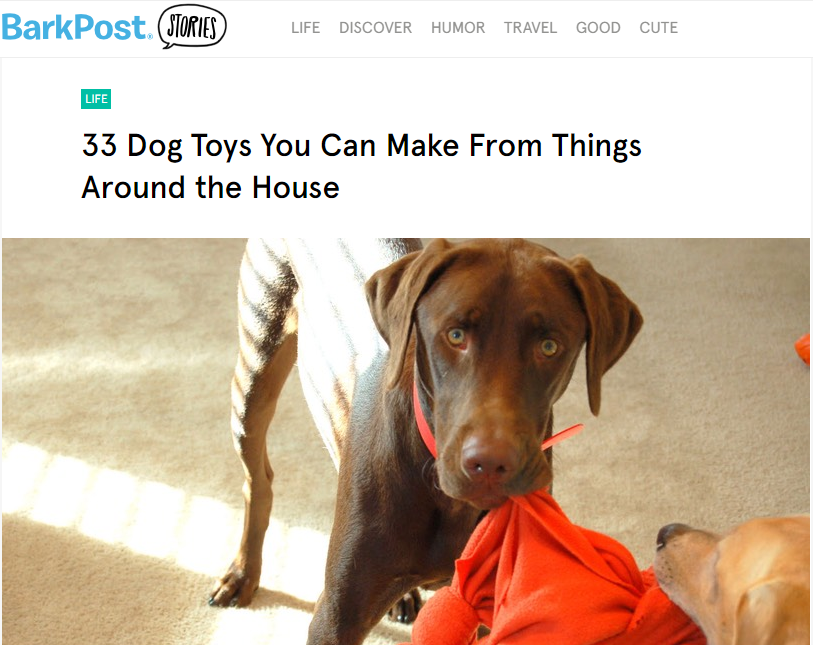 33 DIY Dog Toys from Things Around the House BarkPost