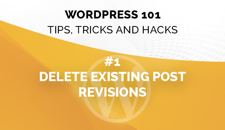 WordPress 101: Tips, Tricks and Hacks!