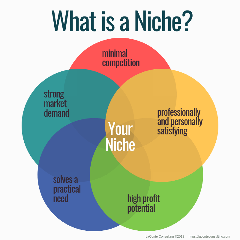 What-is-a-niche-42Works