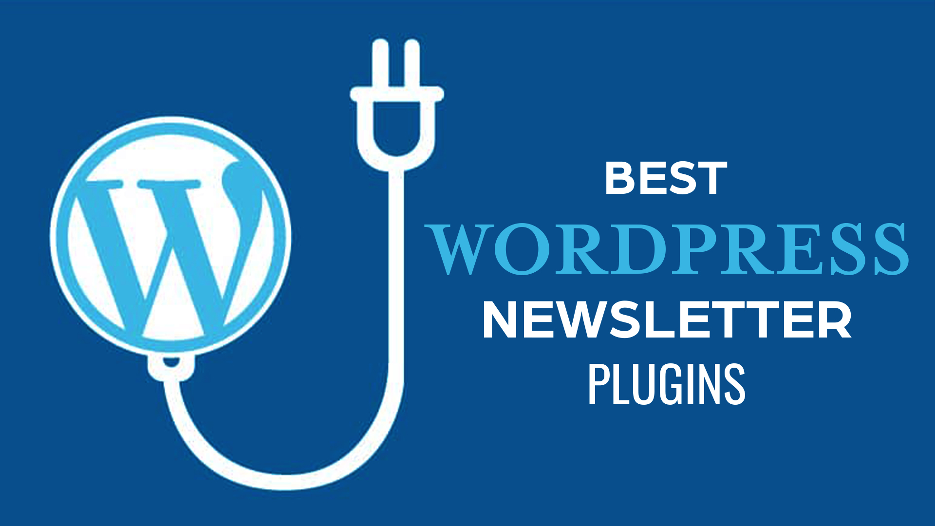 5 Best WordPress Newsletter Plugins for 2023