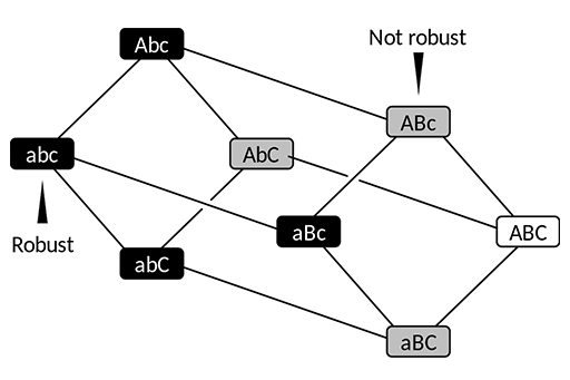 Internal Link Network